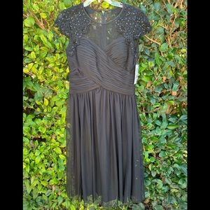 Alex Evening Black Dress